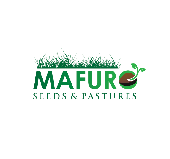 mafuroseeds