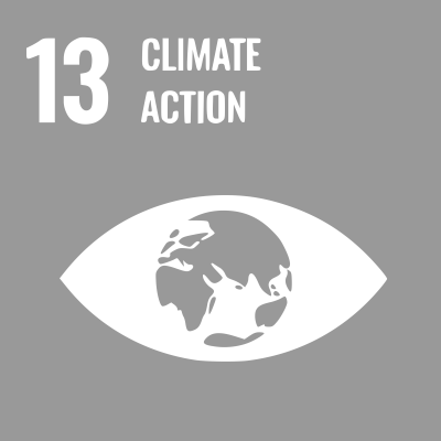 sdg13